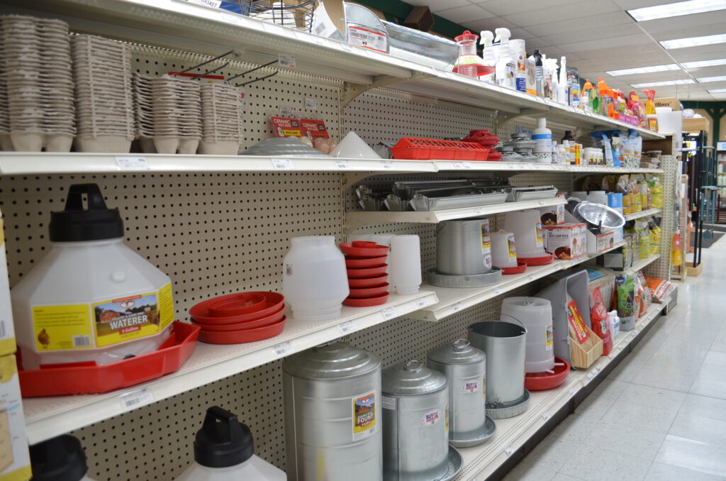 chicken supplies